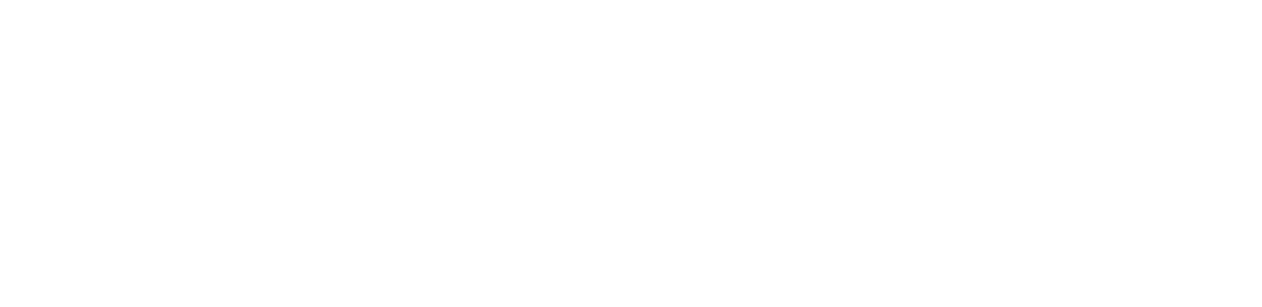 White reverse logo